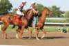trackday34_small.jpg