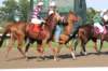 trackday35_small.jpg