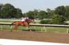 trackday36_small.jpg