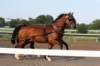 trackday37_small.jpg