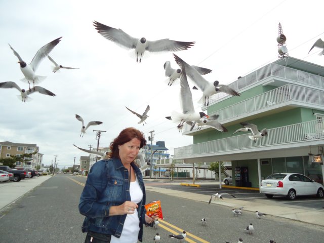 wildwood005.jpg