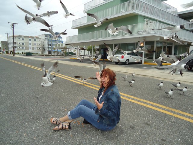 wildwood009.jpg