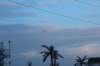 wildwood043_small.jpg