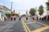 wildwood219_small.jpg