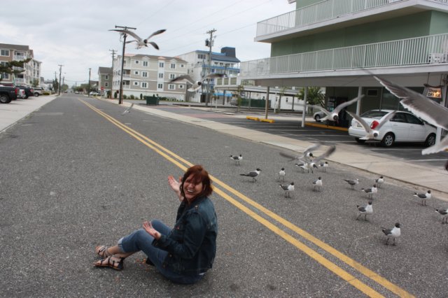 wildwood2024.jpg
