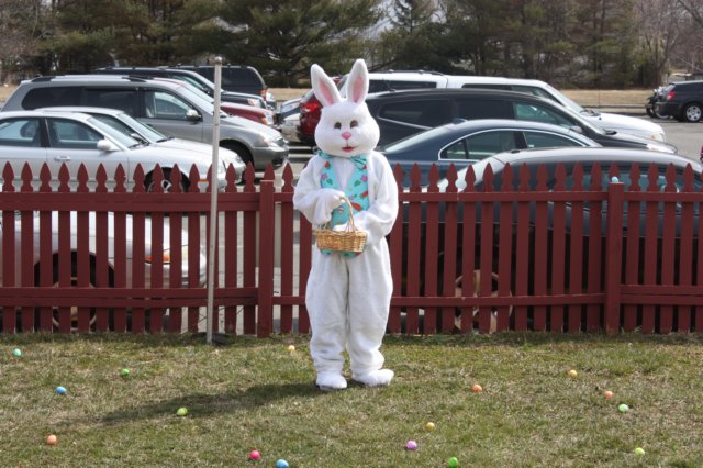 yaceaster62.jpg