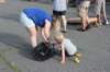 cookoff170_small.jpg