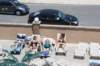 wildwood056_small.jpg