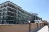 wildwood065_small.jpg