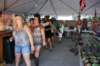 wildwood070_small.jpg