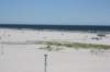 wildwood166_small.jpg