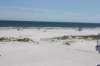 wildwood167_small.jpg