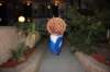 wildwood213_small.jpg