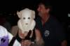 wildwood261_small.jpg