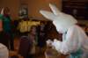 yaceaster33_small.jpg