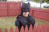 scchalloween126_small.jpg