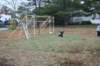soccershoot04_small.jpg