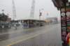 wildwood1062_small.jpg