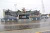 wildwood1063_small.jpg