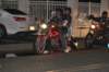 wildwood1228_small.jpg