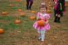yachalloween60_small.jpg