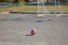 districtsoccer088_small.jpg