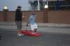 wildwood029_small.jpg