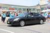 elks232_small.jpg