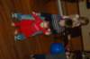 yacxmas041_small.jpg