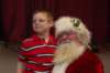 yacxmas078_small.jpg