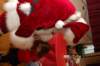 yacxmas081_small.jpg