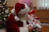 yacxmas117_small.jpg