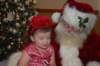 yacxmas148_small.jpg
