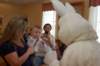 yaceaster118_small.jpg