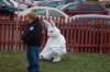 yaceaster136_small.jpg