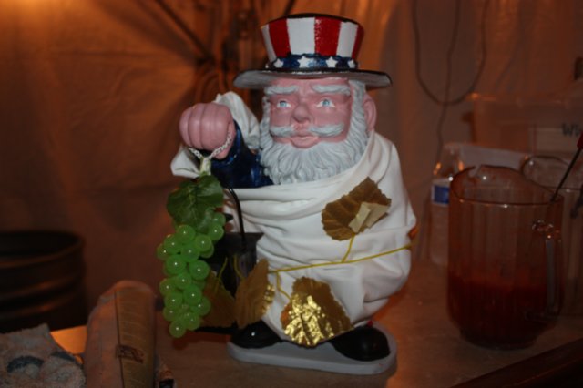 wildwood067.jpg