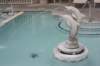 wildwood079_small.jpg