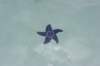 wildwood081_small.jpg