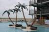 wildwood083_small.jpg