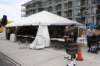 wildwood094_small.jpg