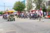 wildwood2134_small.jpg