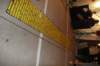 wildwood2344_small.jpg