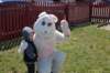 yaceaster073_small.jpg