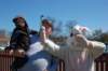 yaceaster083_small.jpg
