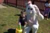 yaceaster086_small.jpg