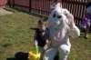 yaceaster087_small.jpg