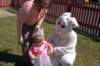 yaceaster088_small.jpg