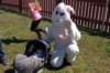 yaceaster091_small.jpg