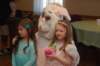 yaceaster100_small.jpg
