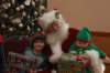 yacchristmas070_small.jpg